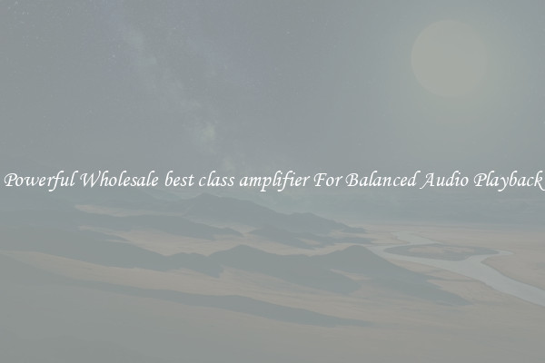 Powerful Wholesale best class amplifier For Balanced Audio Playback