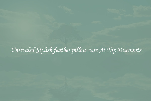 Unrivaled Stylish feather pillow care At Top Discounts