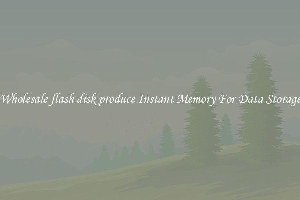 Wholesale flash disk produce Instant Memory For Data Storage