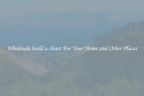 Wholesale build a closet For Your Home and Other Places