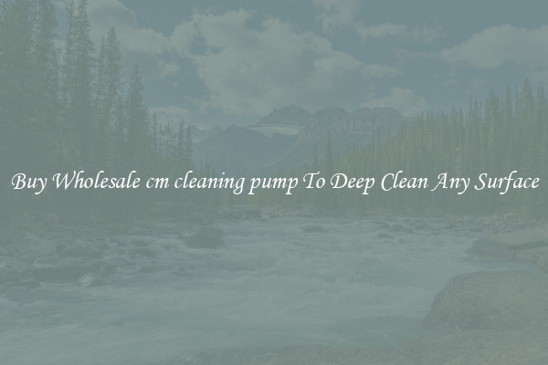 Buy Wholesale cm cleaning pump To Deep Clean Any Surface
