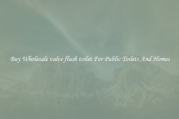 Buy Wholesale valve flush toilet For Public Toilets And Homes
