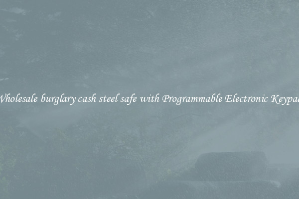 Wholesale burglary cash steel safe with Programmable Electronic Keypad 
