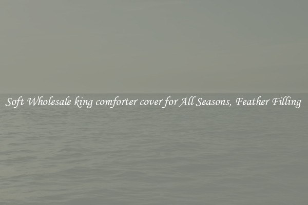 Soft Wholesale king comforter cover for All Seasons, Feather Filling 