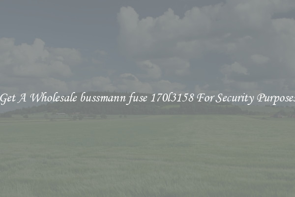 Get A Wholesale bussmann fuse 170l3158 For Security Purposes