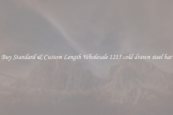 Buy Standard & Custom Length Wholesale 1215 cold drawn steel bar