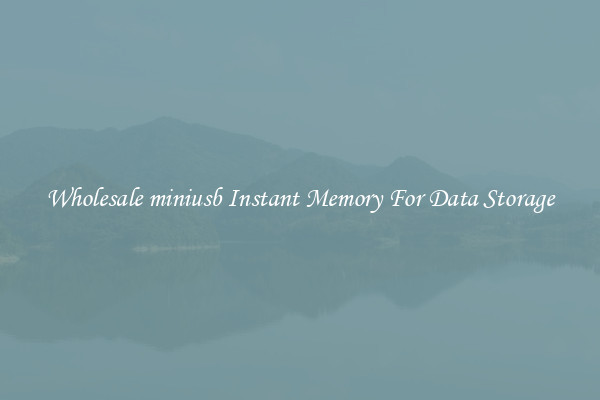 Wholesale miniusb Instant Memory For Data Storage