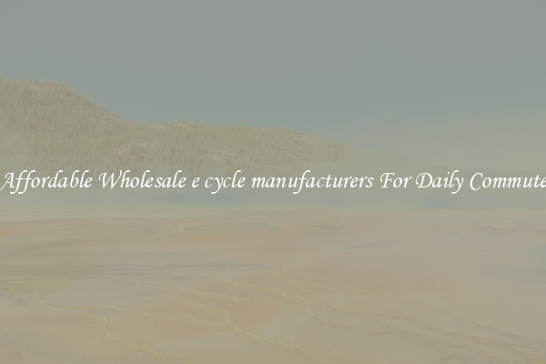 Affordable Wholesale e cycle manufacturers For Daily Commute