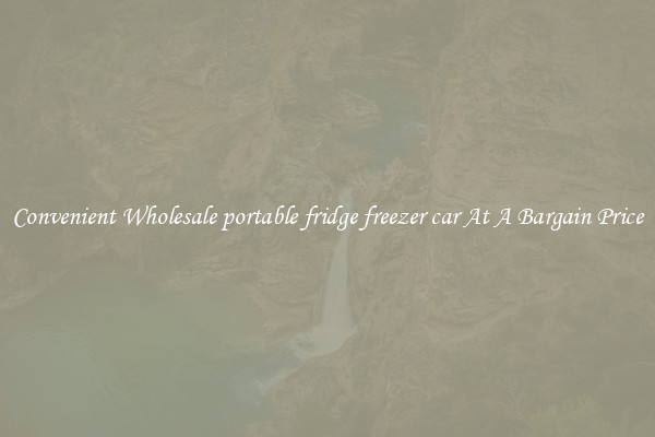 Convenient Wholesale portable fridge freezer car At A Bargain Price