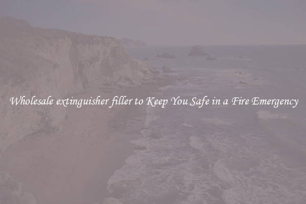 Wholesale extinguisher filler to Keep You Safe in a Fire Emergency