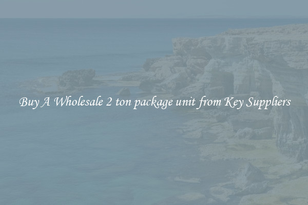 Buy A Wholesale 2 ton package unit from Key Suppliers