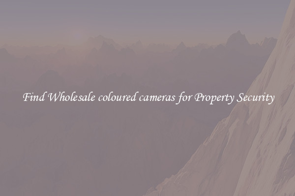 Find Wholesale coloured cameras for Property Security