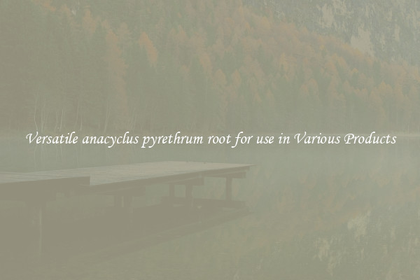 Versatile anacyclus pyrethrum root for use in Various Products