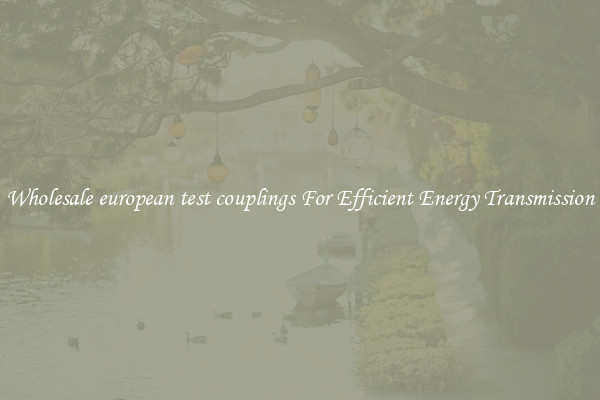 Wholesale european test couplings For Efficient Energy Transmission