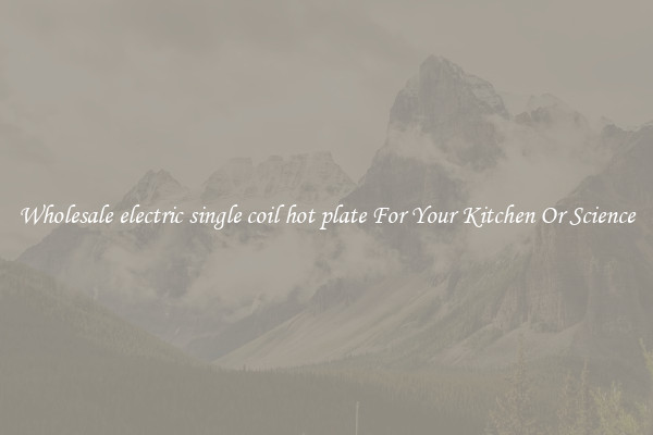 Wholesale electric single coil hot plate For Your Kitchen Or Science