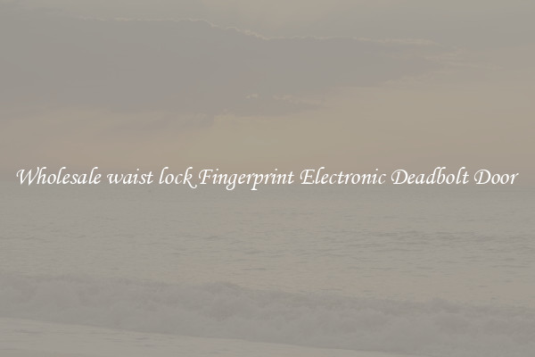 Wholesale waist lock Fingerprint Electronic Deadbolt Door 