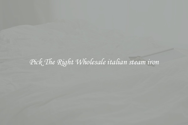 Pick The Right Wholesale italian steam iron