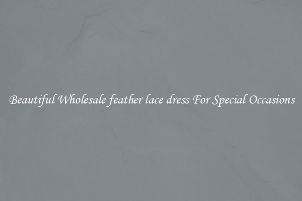Beautiful Wholesale feather lace dress For Special Occasions