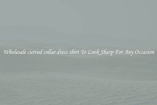 Wholesale curved collar dress shirt To Look Sharp For Any Occasion