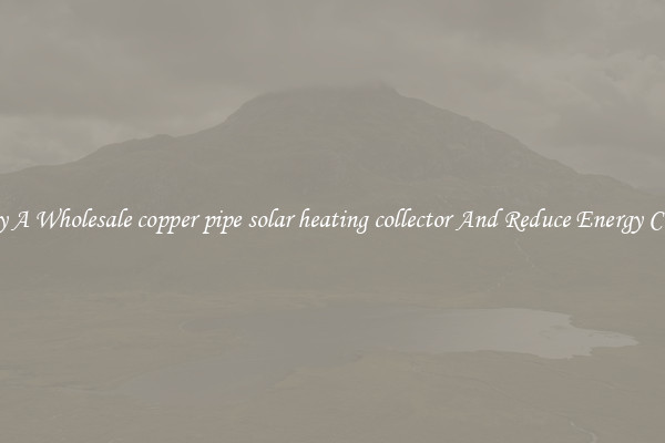 Buy A Wholesale copper pipe solar heating collector And Reduce Energy Costs