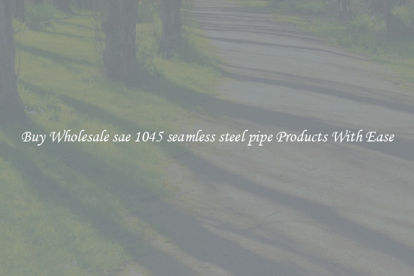 Buy Wholesale sae 1045 seamless steel pipe Products With Ease