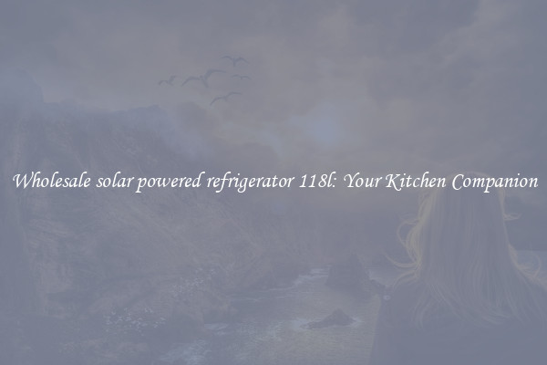 Wholesale solar powered refrigerator 118l: Your Kitchen Companion