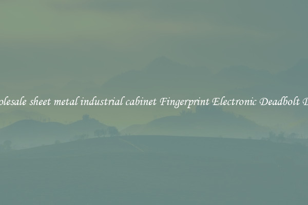 Wholesale sheet metal industrial cabinet Fingerprint Electronic Deadbolt Door 